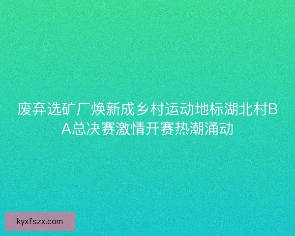 废弃选矿厂焕新成乡村运动地标湖北村BA总决赛激情开赛热潮涌动